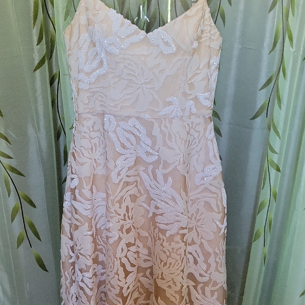 NWT Dress the Population Cream Sweetheart Dress